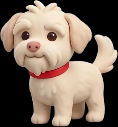 Hund Chucky mit rotem Halsband